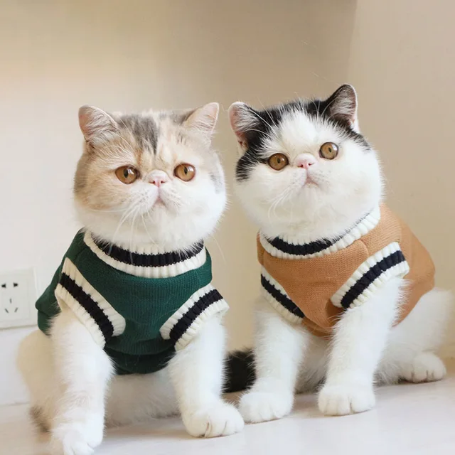 Cat Cotton Sweater 1