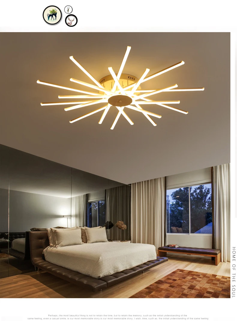 9154178636_1445569148