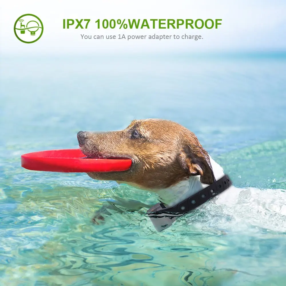 71pagVfaR-L._SL1000_ (1)