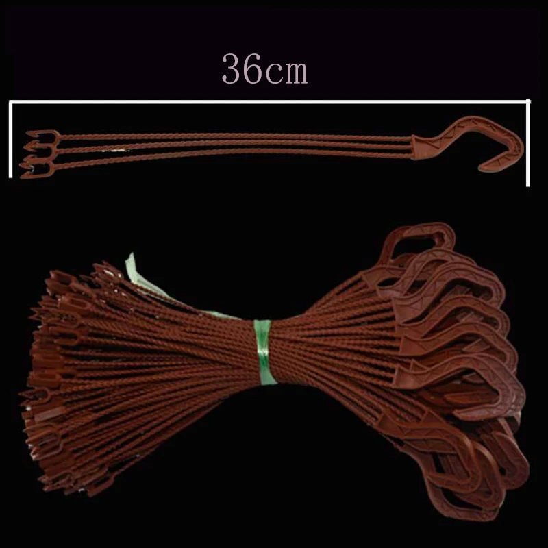 10556362196_1109865592