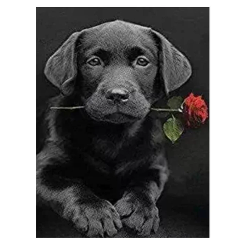 Diamond Painting Kits for Adults Full Drill - 5D Dotz with Paint By Number Great Decor Home Living Room | Дом и сад