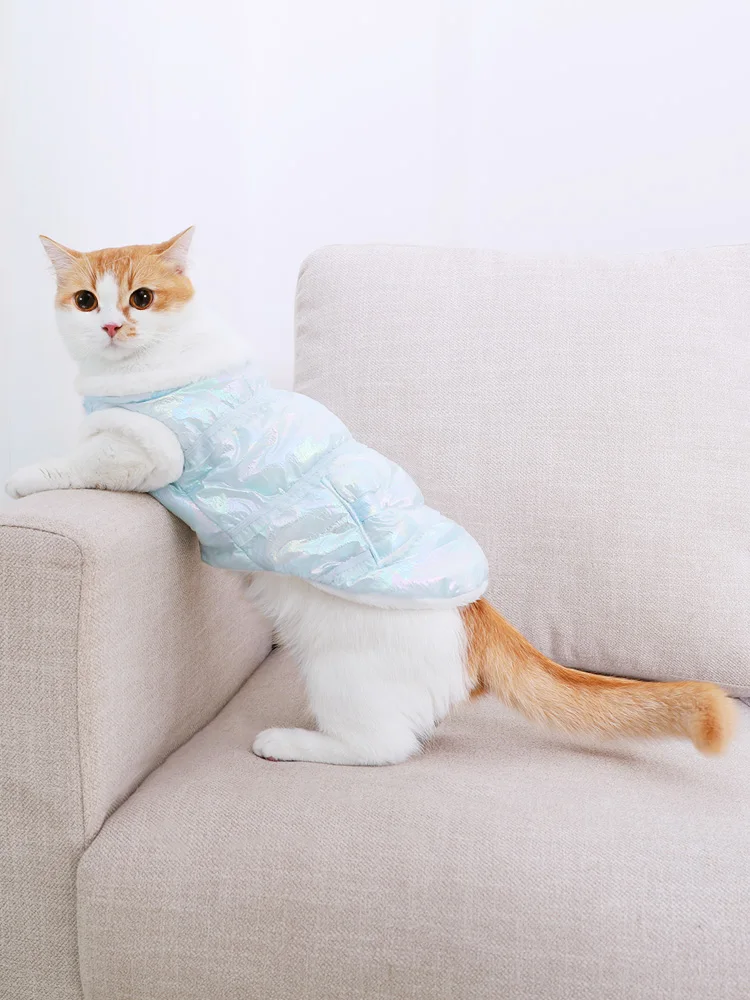Одежда для кошек; милая английская Короткая синяя кошка; котенок; осенняя одежда для домашних животных; утолщенная осенне-зимняя одежда BB50WY