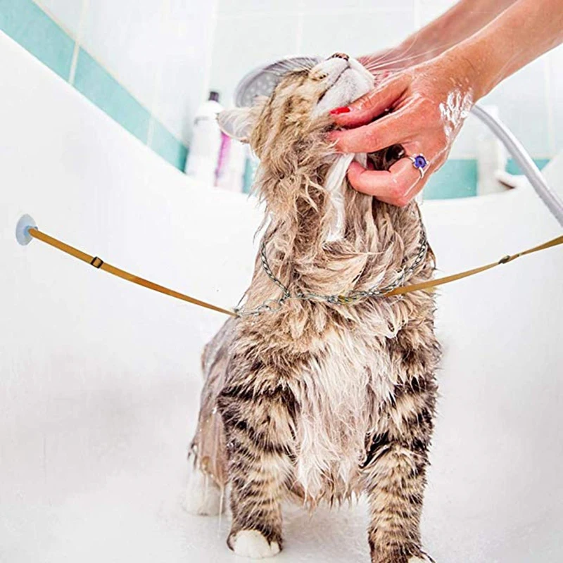 dog bathing tether