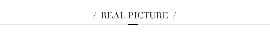 REAL PICTURES标题
