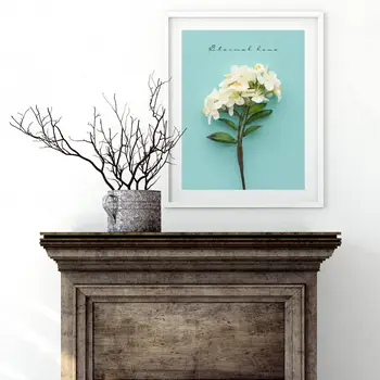 

Custom Poster A Potted Flower#b Canvas Wall Art Picture Set Posters Home Decor Prints Abstract Prints for Room20-0630-61