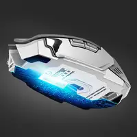 Computer Peripherals