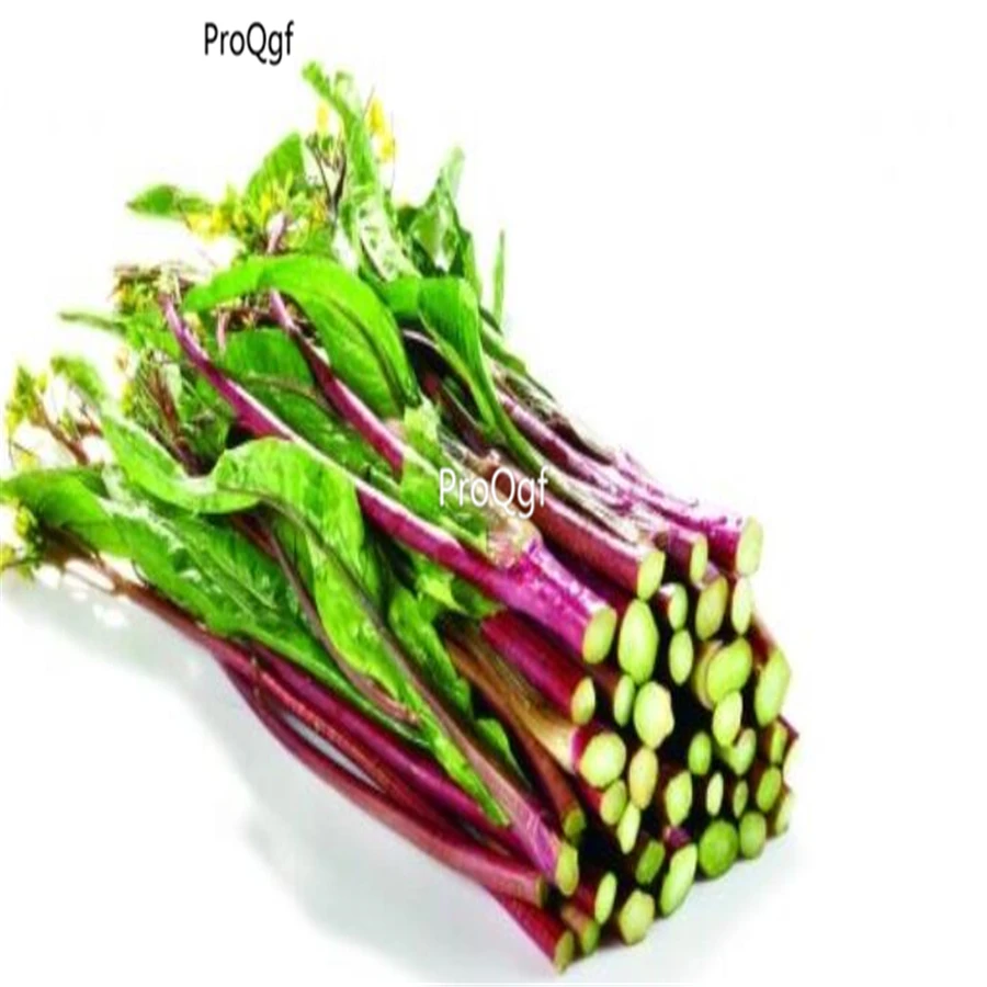 Ngryise 1000 шт набор Brassica rapa