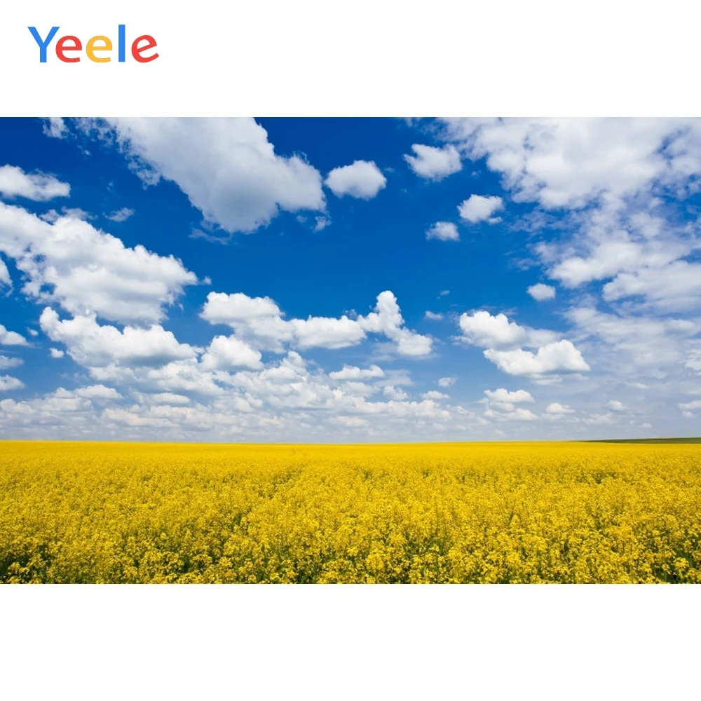 

Yeele Nature Scenery Backdrop Travel Flower Sky Newborn Baby Birthday Party Photography Background For Photo Studio Photocall