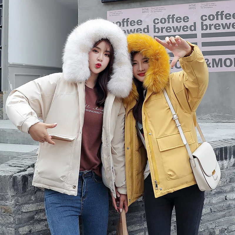 

Photo Shoot Short Large Fur Collar Cotton Coat Female Winter Loose Fashion Short-height Best Friend Thick Versatile Cotton Overc