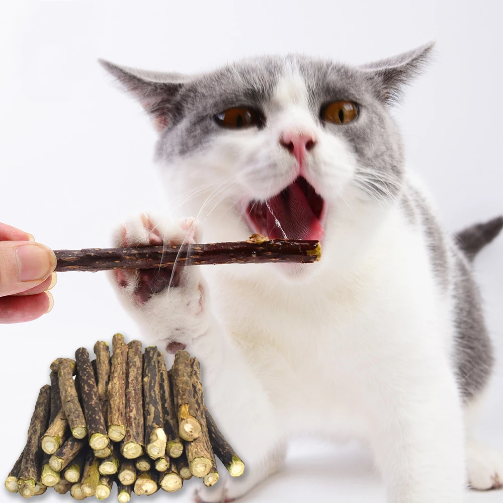 

5/10/20 Pcs Natural Catnip Molar Teeth Cleaner Teeth Sticks Pet Products Actinidia Silvervine Cat Snacks Matatabi Kitten Toy