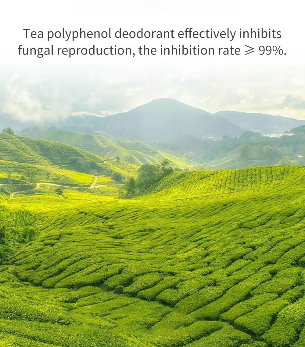 49bb25aa-16d6-445e-b031-8c5075b30f76