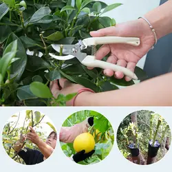 Ciseaux de jardin, outil de greffage, sécateur multifonctionnel pour arbres fruitiers, bonsaï, pour branche d'arbre à fleurs 