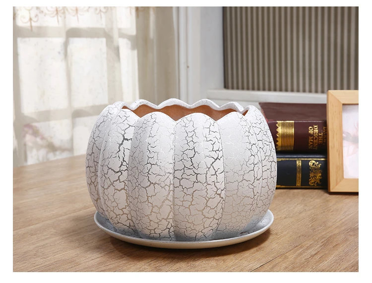 Green Luo Flowerpot Originality Household Tuba Oversize Indoor Orchid Flowerpot Ceramics Belt Tray Meatballs