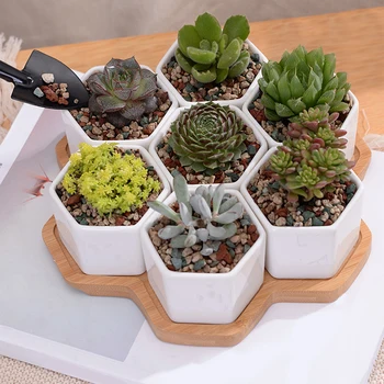 

Ceramic flower pot for horticulture