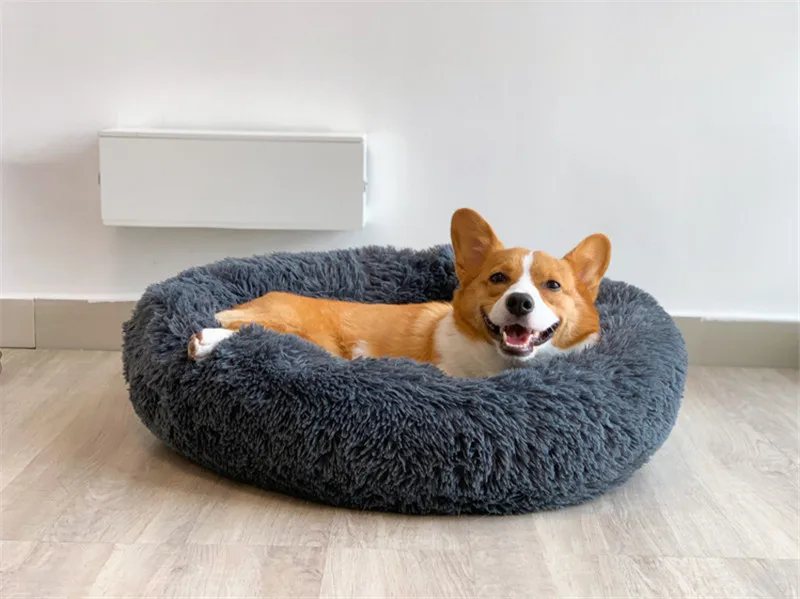 dog basket