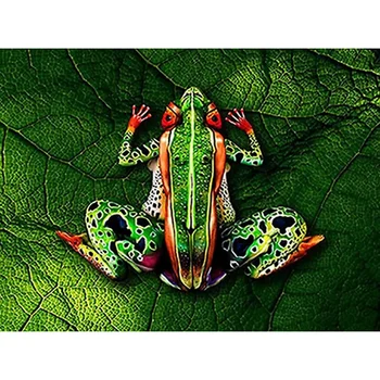 

Diamond Painting 5D DIY Paintings Decoration Diamond Frog Cross Stitch Home Decor Diamond Embroidery Diamond