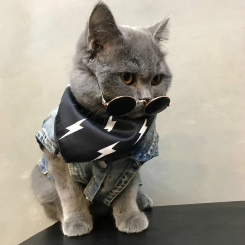 cats accessories glasses cats sunglasses for dogs free shipping dog sunglasses pet cat decoration
