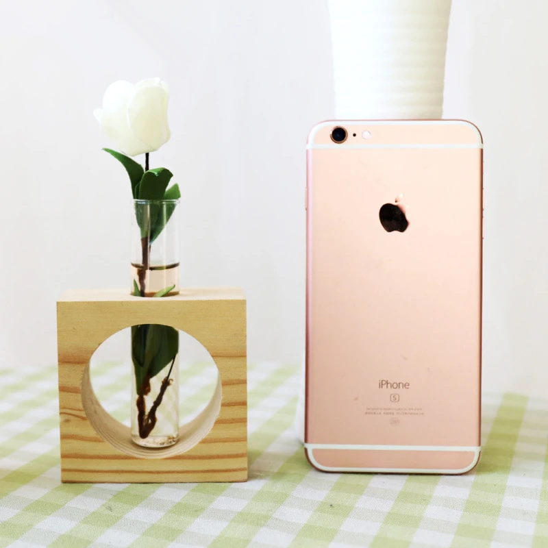 Hydroponic Vase Plant Glass tube Creative Hydroponic Plant Transparent Vase Wooden Frame Coffee Shop Room DecorDecoration