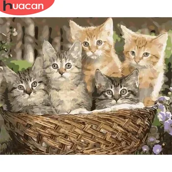 

HUACAN DIY Painting By Number Cat Drawing On Canvas Pictures By Numbers Animal Kits Hand Painted Paintings Art Gift Home Decor