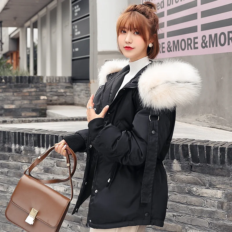 

2019 Autumn And Winter New Style down Jacket Cotton-padded Clothes Women's Korean-style Fashion Hooded Short Cotton-padded Cloth