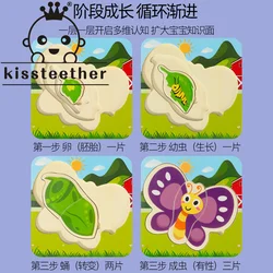Kisteether novo crescimento de madeira multi camada quebra cabeça galo borboleta brinquedo de treinamento educacional e concentração das crianças