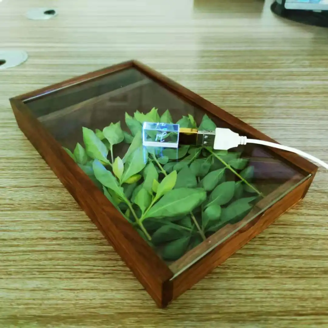 Caixa do Álbum de Noz Acrílica Logotipo de Gravação a Laser Personalizado Gratuito Crystal Usb 3.0 Alta Velocidade 16gb 32gb 64gb 128gb 5x7 em - Imagem 6