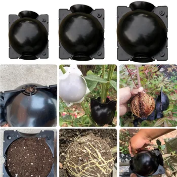 

5/8/12CM Plant Rooting Ball High-Pressure Transmission Breeding Case Rooting Growing Box Garden Plant Propagation Box Sapling