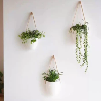 

Hanging Basin Hanging Wall Flower Pot Wall Hanging Hydroponic Hanging Wall Succulent Flower Pot 3 Piece Set