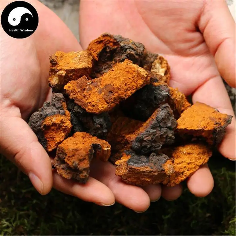 

Inonotus Obliquus, Chaga Mushroom, Bai Hua Rong