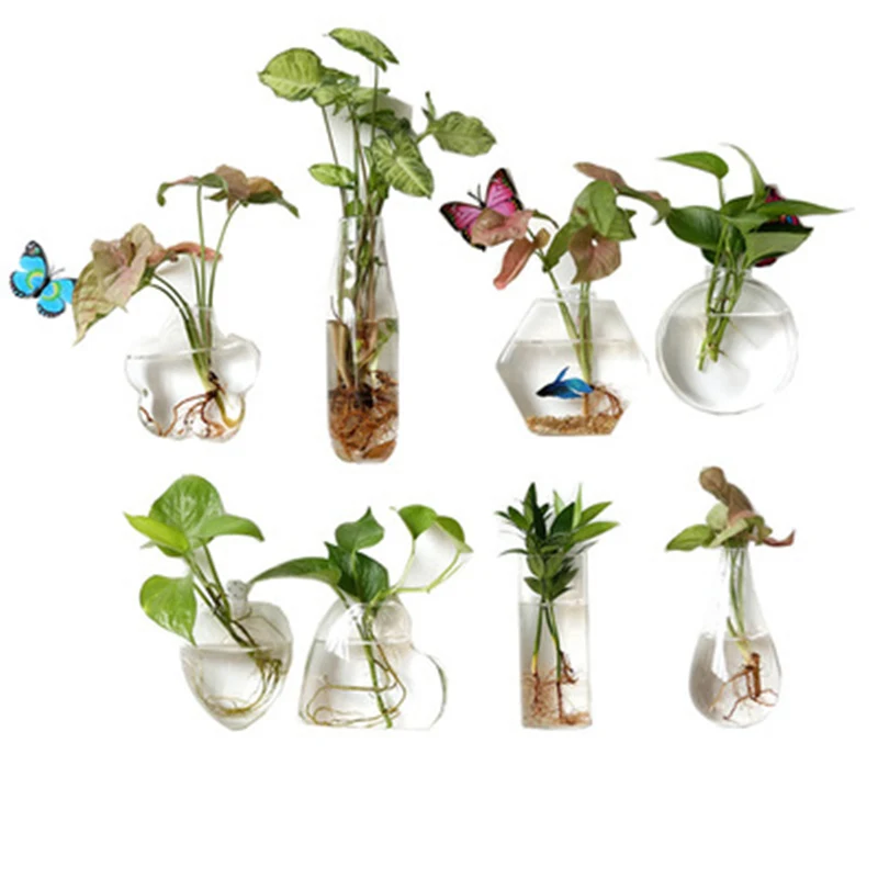 Creative Hanging Hydroponic Plant Glass Vase Wall Transparent Flower Pot Green Dill Small Fish Tank Modern | Дом и сад