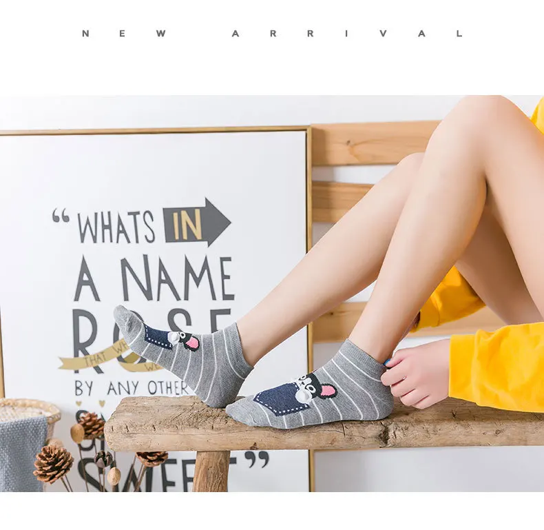 Новые весенние женские хлопковые носки-лодочки милые носки до лодыжки с изображением медведя, пингвина, собаки Корейская версия, Короткие повседневные Прямые носки для девочек 35-40