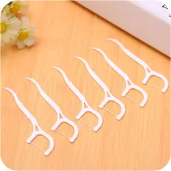 Brush Toothpicks Oral Hygiene Care Dental Floss Pick Teeth Stick Tooth Cleaning Dental Floss Dental Floss Stick
