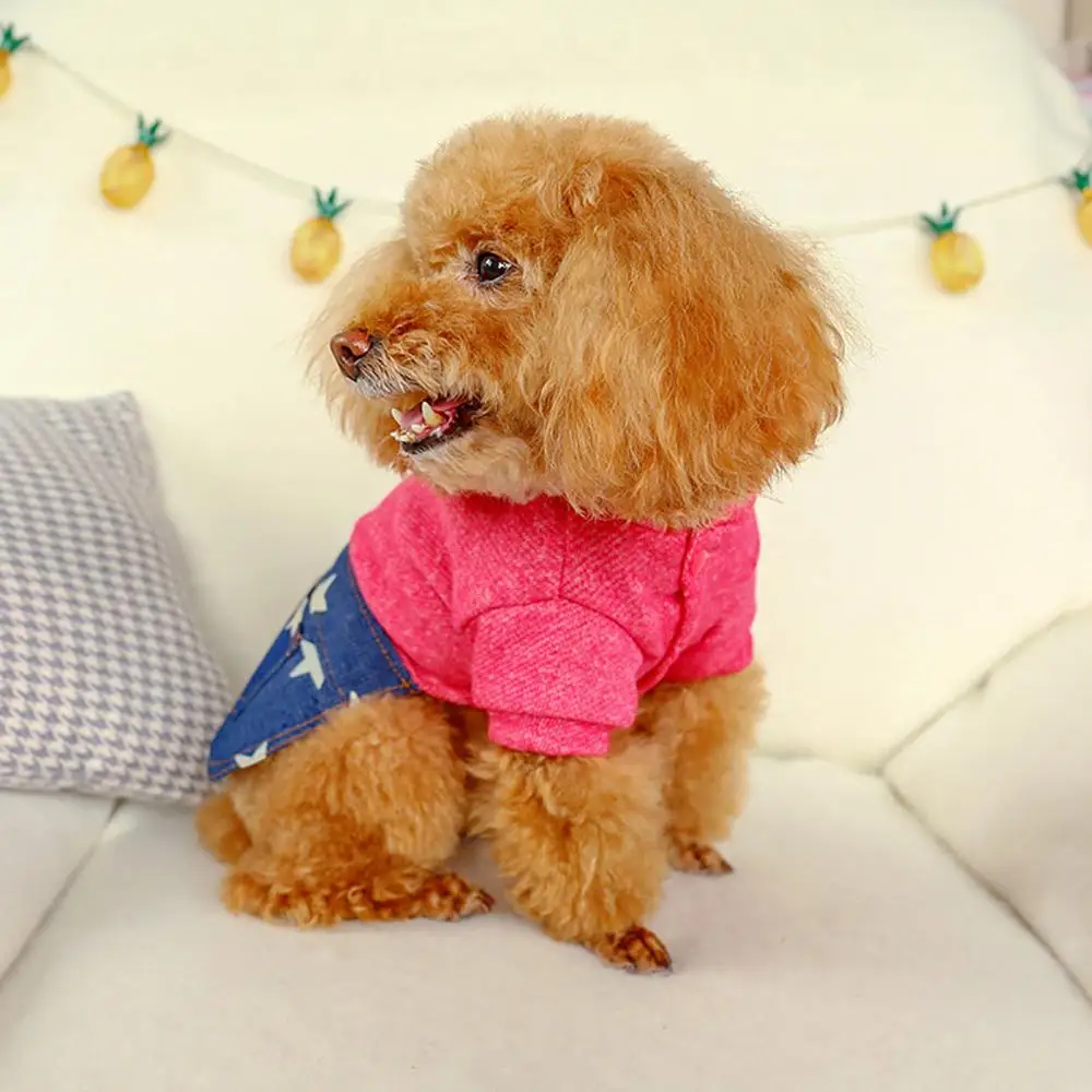 Новая модная ковбойская юбка с принтом в виде звезд для домашних животных, осенняя и зимняя удобная красивая одежда для собак Vêtements pour chiens