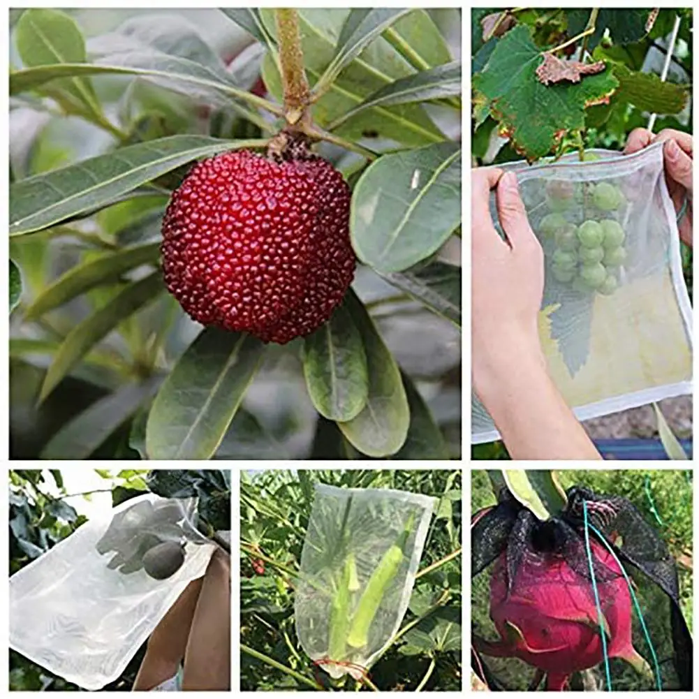 100 Pcs Fruit Protection Bags Garden Netting Bags Drawstring Netting Mesh Bag Anti-bird Bug Barrier For Protecting Plant Fruit
