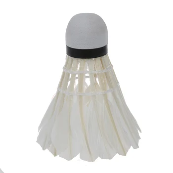 

Dark Night LED Badminton Shuttlecock Birdies Lighting (multicolours)