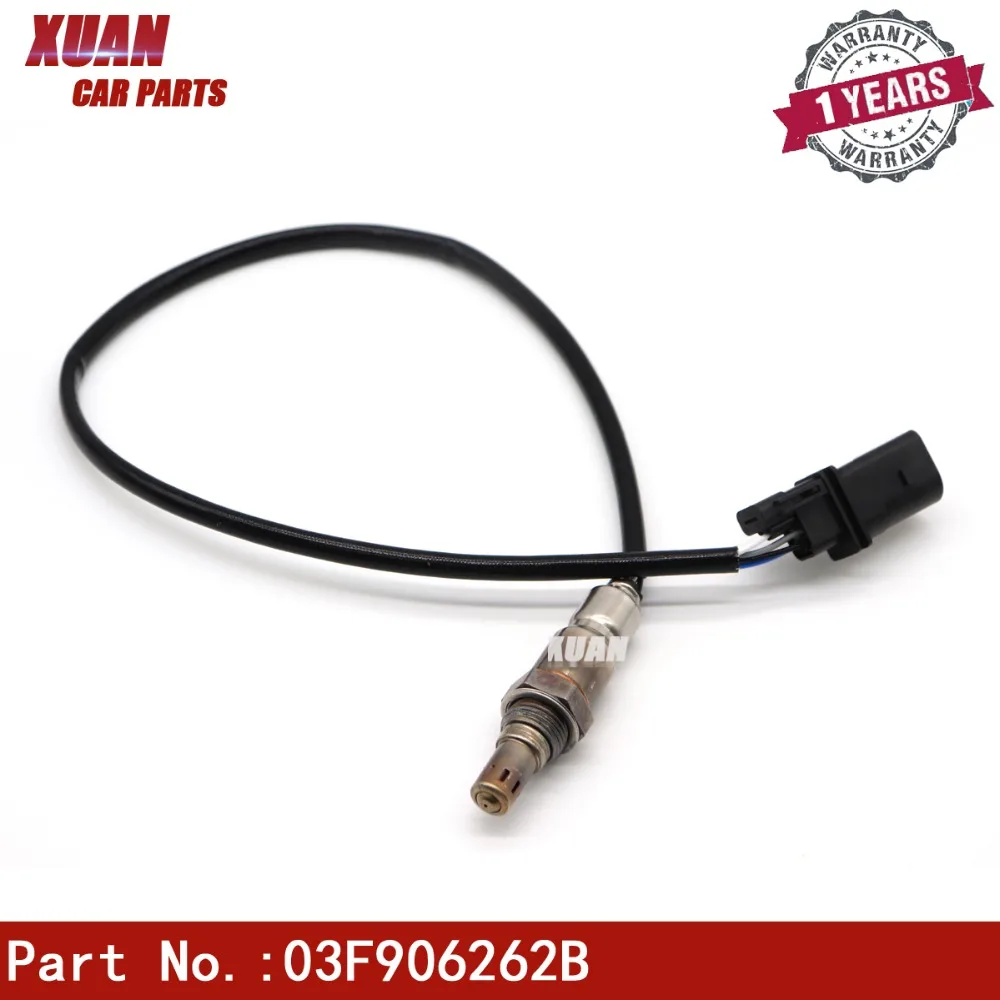 03F906262B (1)
