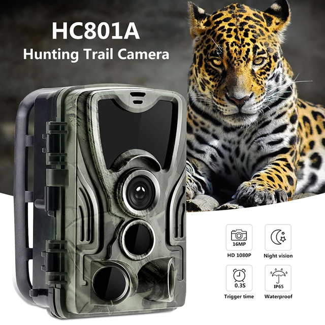 Охотничья тропа hc801a камера для дикой природы с ночным видением
