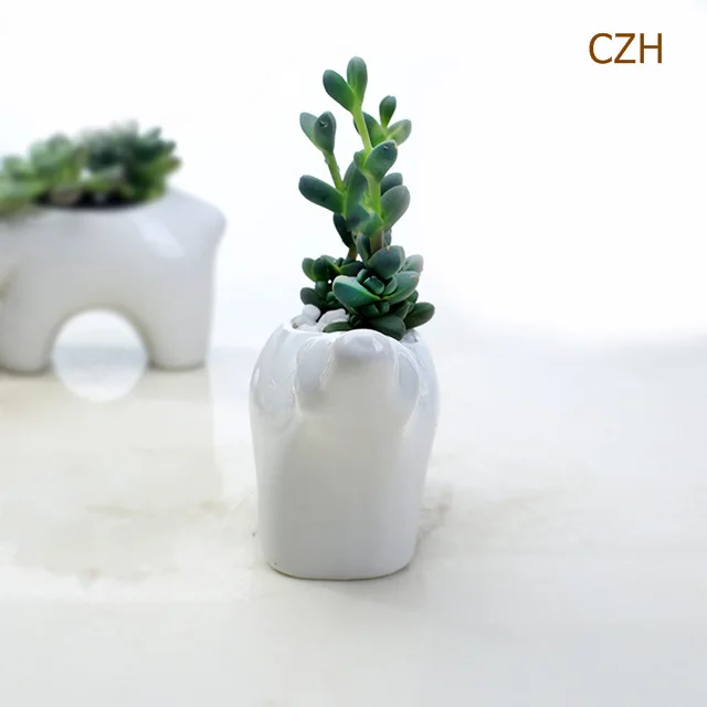 8824844626_1770840967