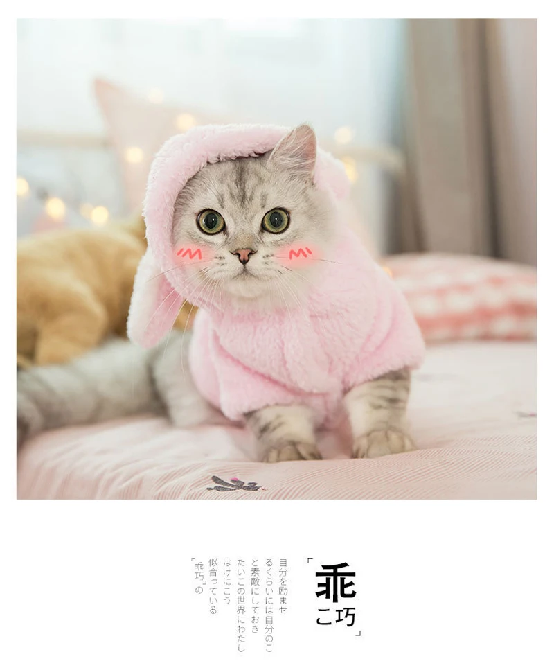 9360561626_859103132