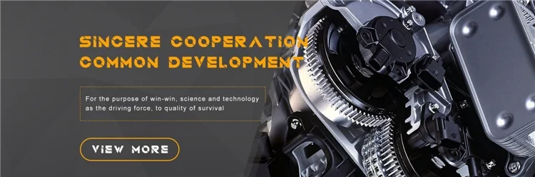 High Quality Renovação da Casa