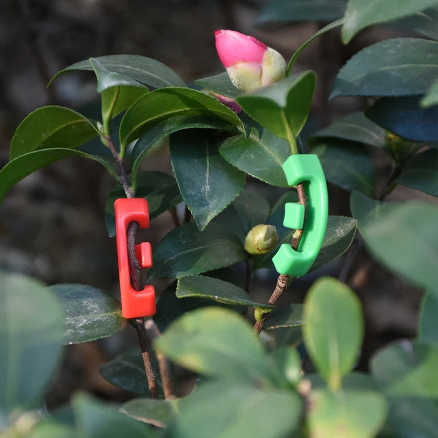 20 db Műanyag 90 Fokos Növényi Szőlő Íves Alakzók Csavaró Fa Ágak - Image 3