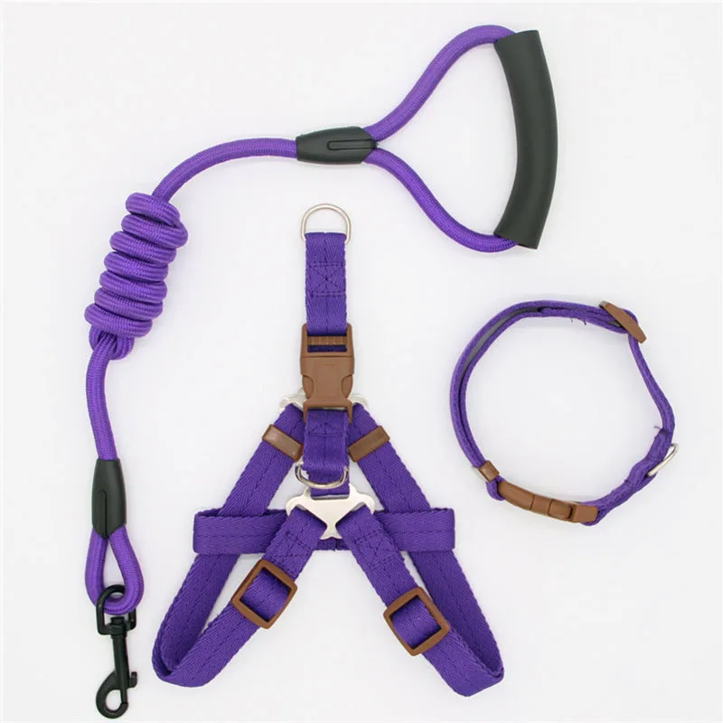 Pet Nylon Leash Dog & Cat Training Collar