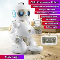 45CM Home Sweeper Robot RC Robot Dialogue Learning Interactive Intelligent Follow Brilliant Lighting Recording Mode Electric Toy 1