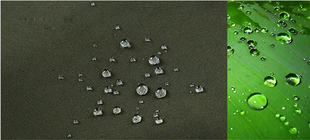 {20823C66-1EBC-4ADA-8251-6924E90BD0A7}