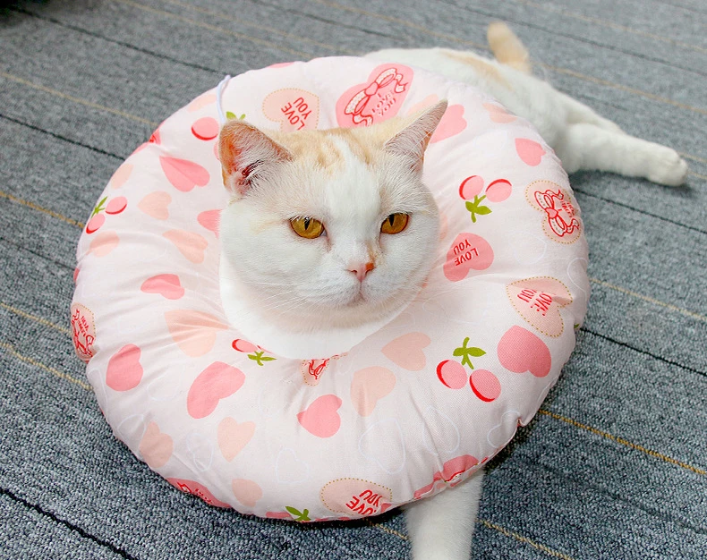 10940809693_1088394235