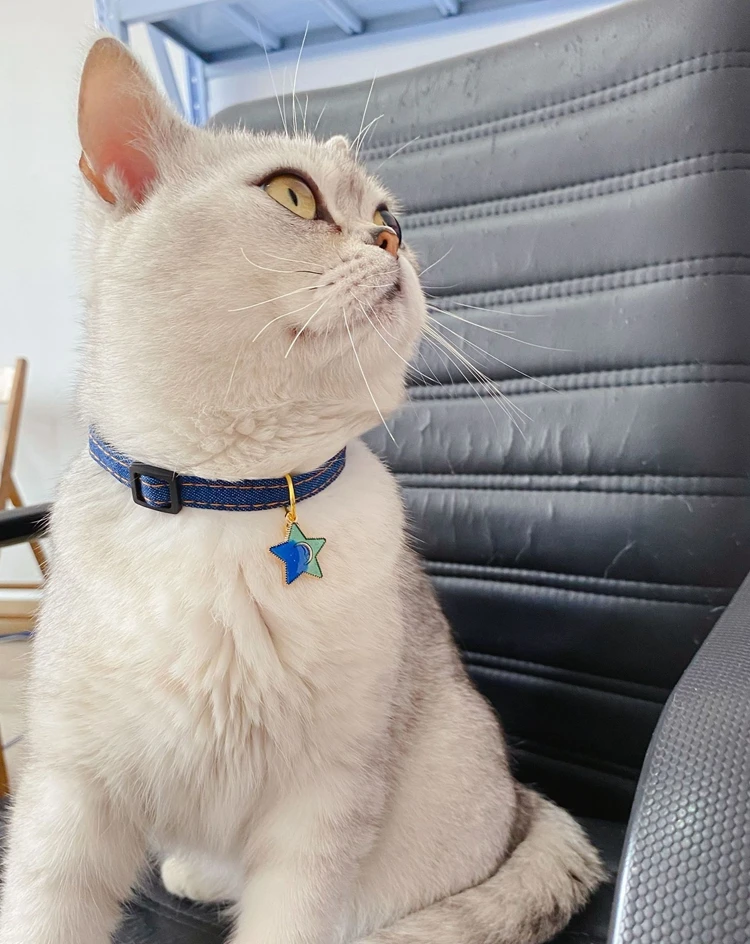 1 - 16610803425_1199050608