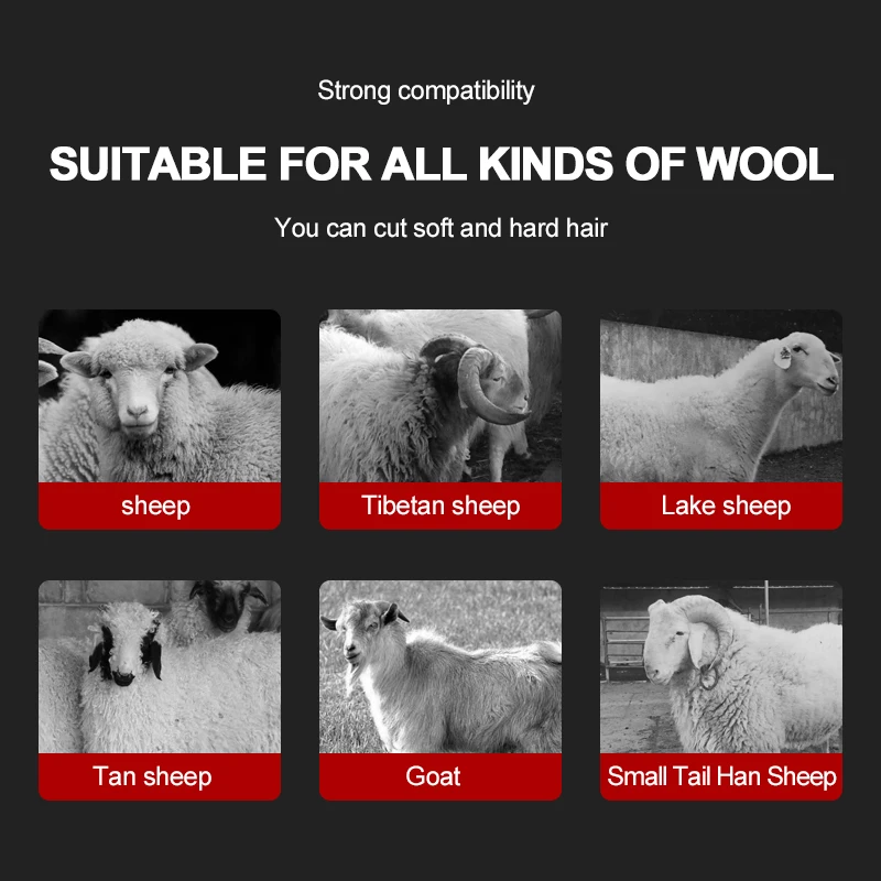 1600W/1300W 6-Speed Adjustable Speed Electric Wool Shears Pet Shearing Machine Goat And Horse Hair Scissors Sheep Shearing 3