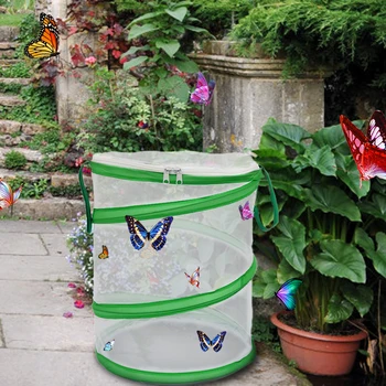 

Folding Insect Mesh Cage Butterfly Dragonfly Mantis Breathable Habitat Cage Cylindrical Breeding Feeding Container Catching Cage