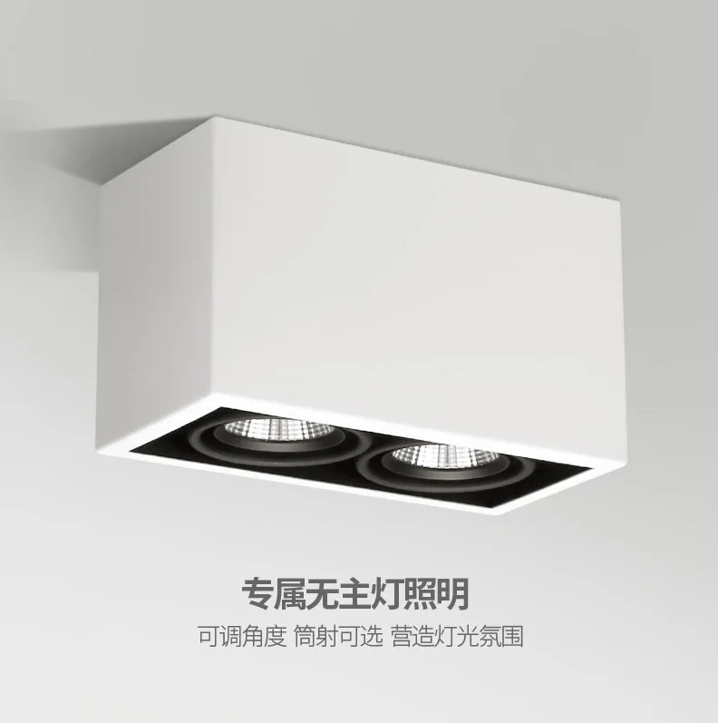 

10pcs Pack, 2-Light LED Downlights 200X100mm with 120mm High / 20W (2X10W) Direct Ceiling Sourface Mounted Lamps 90mm High