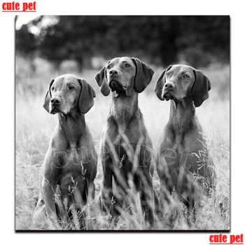 

5D DIY Diamond Painting Hungarian Vichy hound dog Full Square Round Drill Embroidery Cross Stitch animal Home Decor mosaic